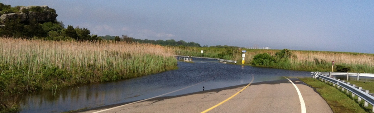 Flooded roadway