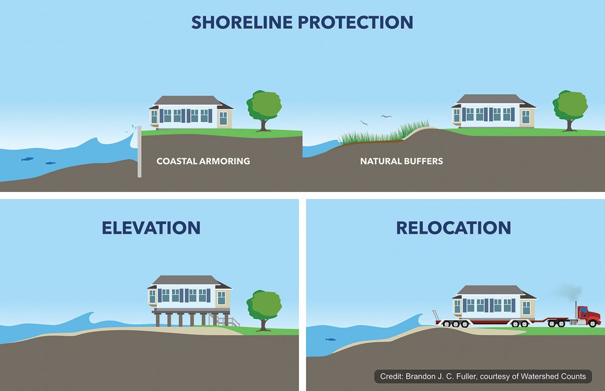 Shoreline protection