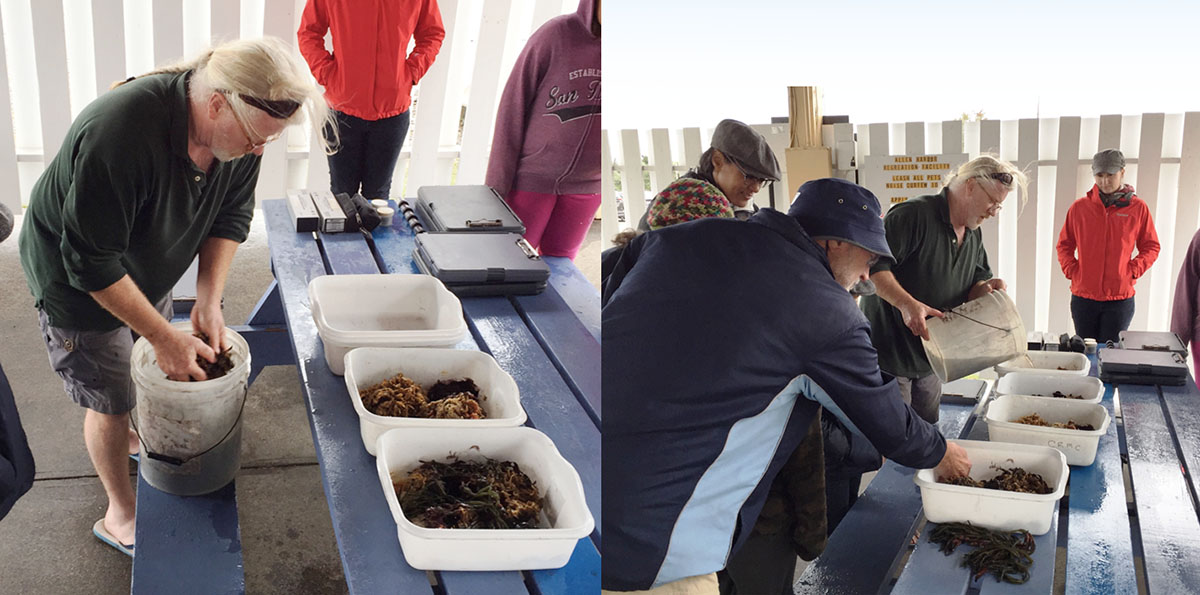 Kevin Cute puts samples into bins for the participants