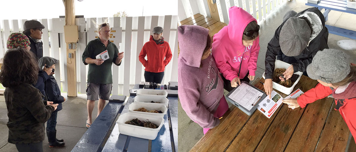 Cute talks about marine aquatic invasive species and their identification and participants try to identify specimens