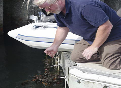 Aquatic Invasive Species Monitoring