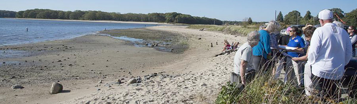 Attendees at the beach