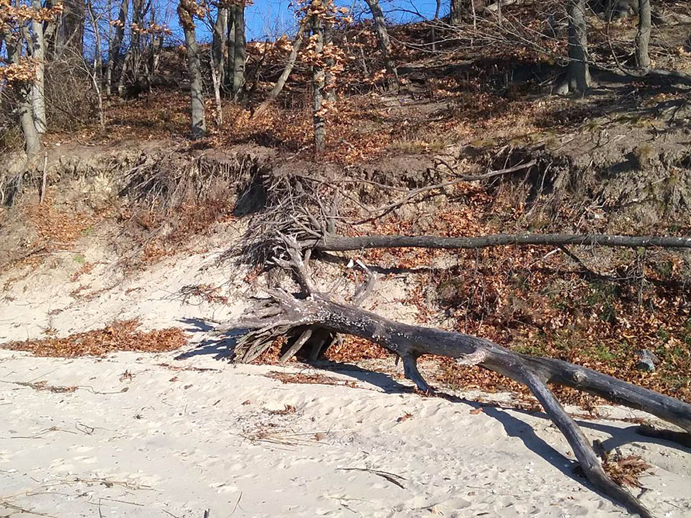 The eroded and destabilized bank is littered with failed revetments, fallen trees, and debris, posing a safety hazard