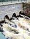 State Stormwater Regulations