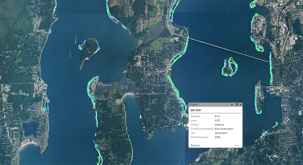 Eelgrass Mapper screenshot
